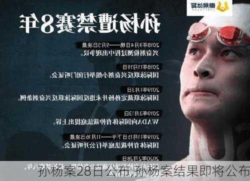 孙杨案28日公布,孙杨案结果即将公布
