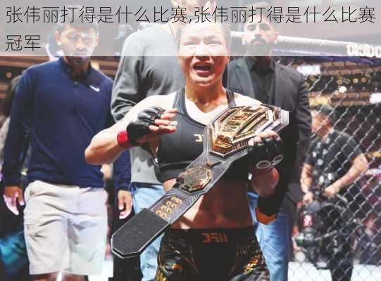 张伟丽打得是什么比赛,张伟丽打得是什么比赛冠军