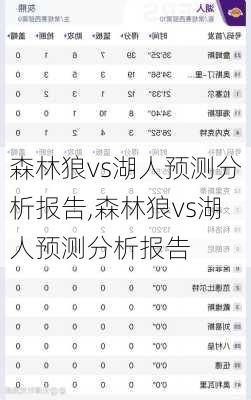 森林狼vs湖人预测分析报告,森林狼vs湖人预测分析报告