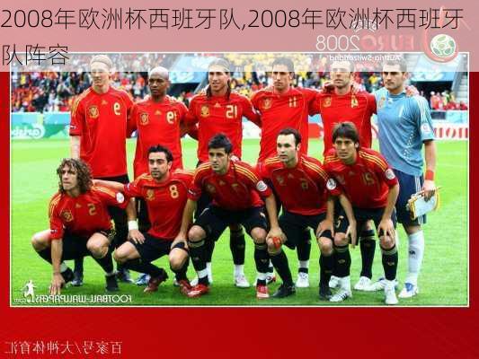 2008年欧洲杯西班牙队,2008年欧洲杯西班牙队阵容
