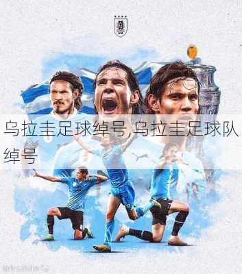 乌拉圭足球绰号,乌拉圭足球队绰号