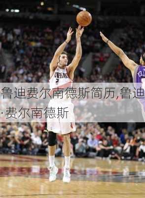 鲁迪费尔南德斯简历,鲁迪·费尔南德斯