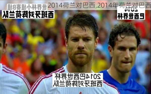 2014荷兰对巴西,2014年荷兰对巴西