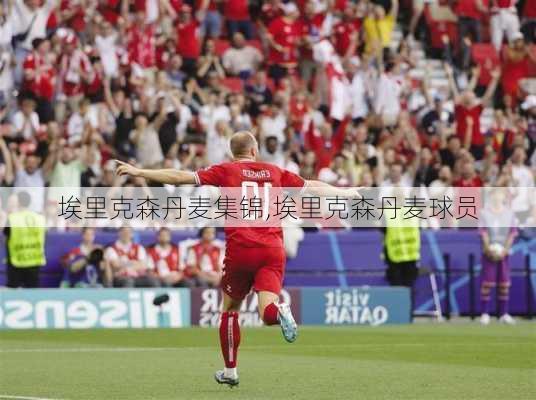 埃里克森丹麦集锦,埃里克森丹麦球员