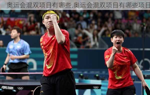 奥运会混双项目有哪些,奥运会混双项目有哪些项目