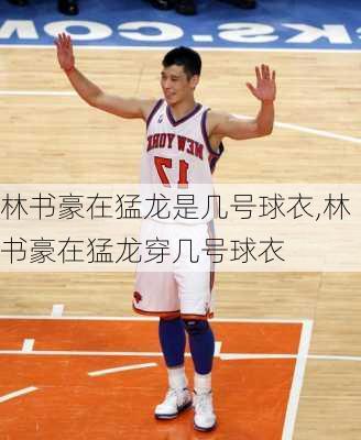 林书豪在猛龙是几号球衣,林书豪在猛龙穿几号球衣
