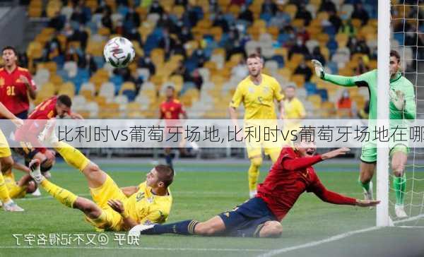 比利时vs葡萄牙场地,比利时vs葡萄牙场地在哪