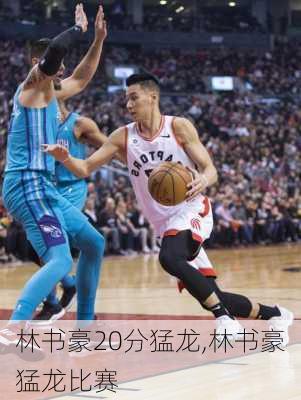 林书豪20分猛龙,林书豪猛龙比赛