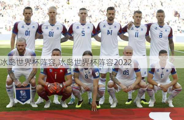 冰岛世界杯阵容,冰岛世界杯阵容2022