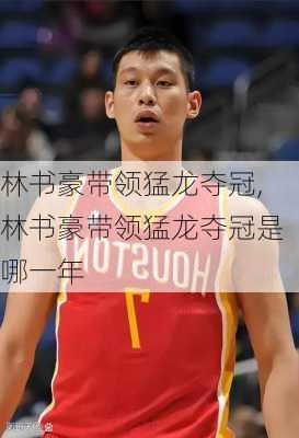 林书豪带领猛龙夺冠,林书豪带领猛龙夺冠是哪一年