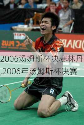 2006汤姆斯杯决赛林丹,2006年汤姆斯杯决赛