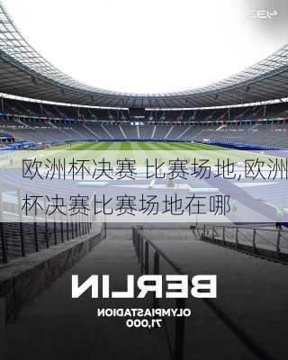 欧洲杯决赛 比赛场地,欧洲杯决赛比赛场地在哪
