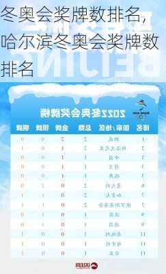 冬奥会奖牌数排名,哈尔滨冬奥会奖牌数排名