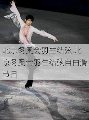 北京冬奥会羽生结弦,北京冬奥会羽生结弦自由滑节目