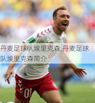 丹麦足球队埃里克森,丹麦足球队埃里克森简介