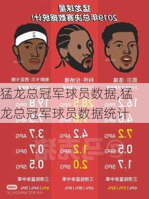猛龙总冠军球员数据,猛龙总冠军球员数据统计