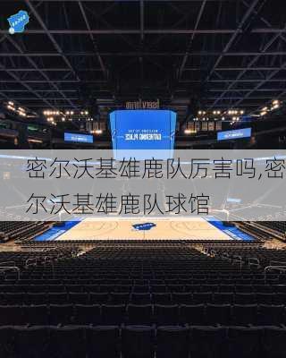 密尔沃基雄鹿队厉害吗,密尔沃基雄鹿队球馆