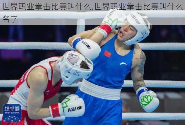 世界职业拳击比赛叫什么,世界职业拳击比赛叫什么名字