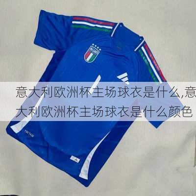 意大利欧洲杯主场球衣是什么,意大利欧洲杯主场球衣是什么颜色