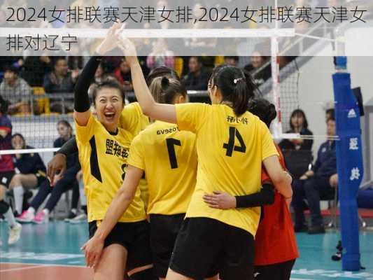 2024女排联赛天津女排,2024女排联赛天津女排对辽宁