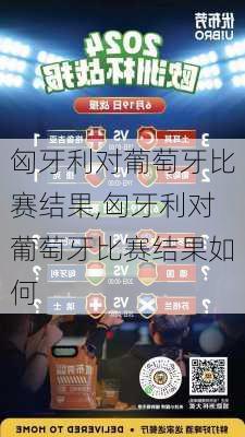 匈牙利对葡萄牙比赛结果,匈牙利对葡萄牙比赛结果如何