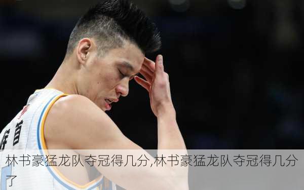 林书豪猛龙队夺冠得几分,林书豪猛龙队夺冠得几分了