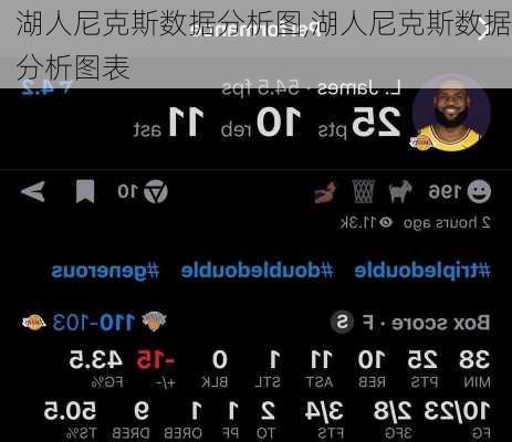 湖人尼克斯数据分析图,湖人尼克斯数据分析图表