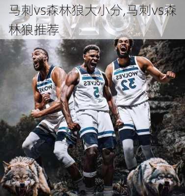 马刺vs森林狼大小分,马刺vs森林狼推荐