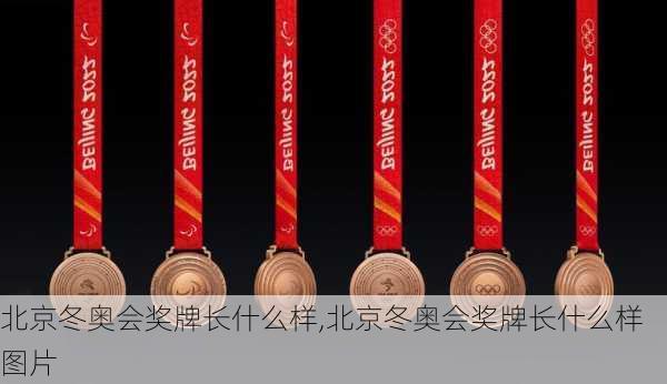 北京冬奥会奖牌长什么样,北京冬奥会奖牌长什么样图片