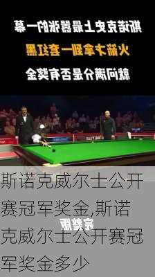 斯诺克威尔士公开赛冠军奖金,斯诺克威尔士公开赛冠军奖金多少
