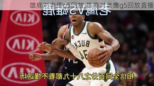 雄鹿对老鹰g5回放,雄鹿对老鹰g5回放直播