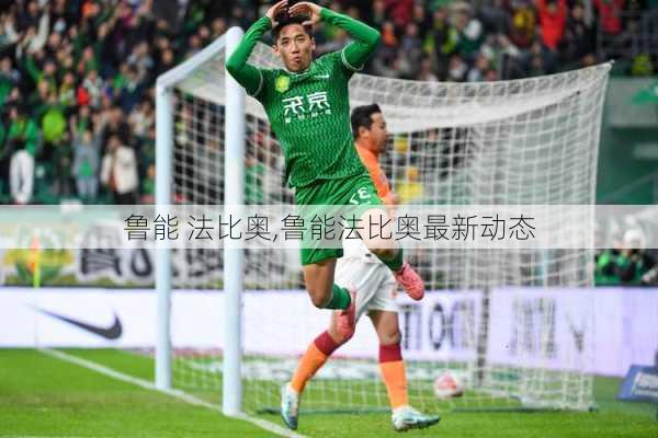 鲁能 法比奥,鲁能法比奥最新动态