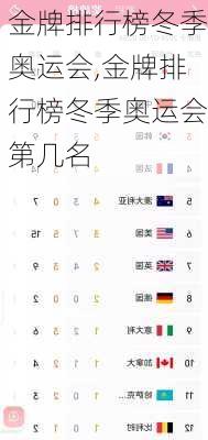 金牌排行榜冬季奥运会,金牌排行榜冬季奥运会第几名
