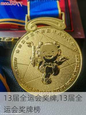 13届全运会奖牌,13届全运会奖牌榜