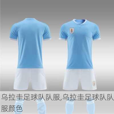 乌拉圭足球队队服,乌拉圭足球队队服颜色