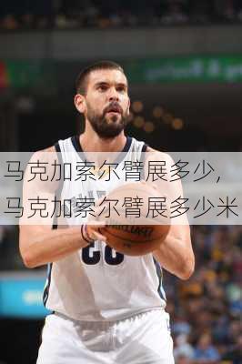 马克加索尔臂展多少,马克加索尔臂展多少米