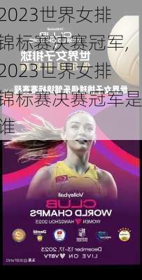 2023世界女排锦标赛决赛冠军,2023世界女排锦标赛决赛冠军是谁