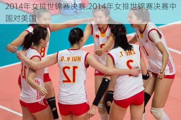 2014年女排世锦赛决赛,2014年女排世锦赛决赛中国对美国