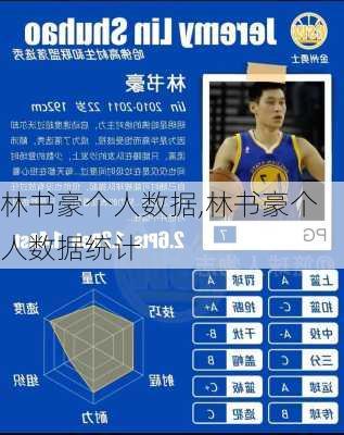 林书豪个人数据,林书豪个人数据统计