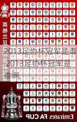 2013足协杯冠军是谁,2013足协杯冠军是谁啊