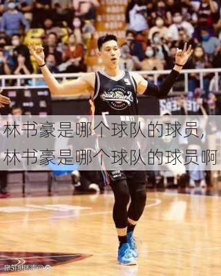 林书豪是哪个球队的球员,林书豪是哪个球队的球员啊