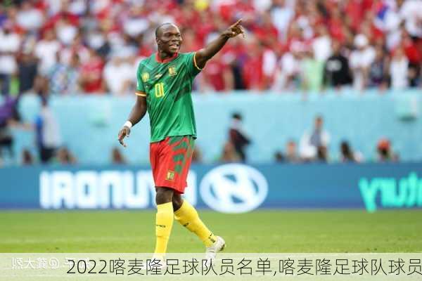 2022喀麦隆足球队员名单,喀麦隆足球队球员