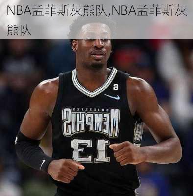 NBA孟菲斯灰熊队,NBA孟菲斯灰熊队