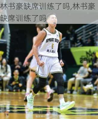 林书豪缺席训练了吗,林书豪缺席训练了吗