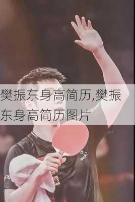 樊振东身高简历,樊振东身高简历图片