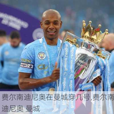 费尔南迪尼奥在曼城穿几号,费尔南迪尼奥 曼城