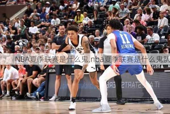 NBA夏季联赛是什么鬼,nba夏季联赛是什么鬼队