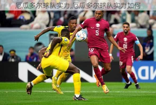厄瓜多尔球队实力,厄瓜多尔球队实力如何