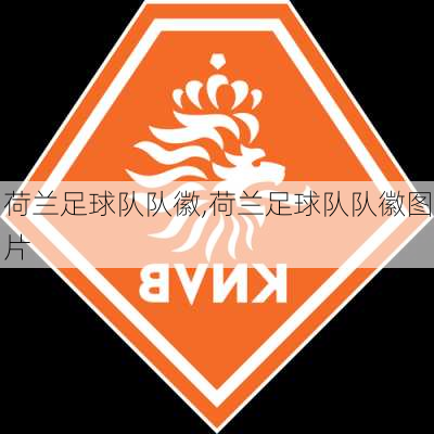 荷兰足球队队徽,荷兰足球队队徽图片