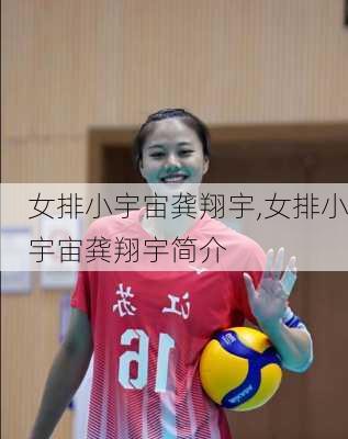 女排小宇宙龚翔宇,女排小宇宙龚翔宇简介